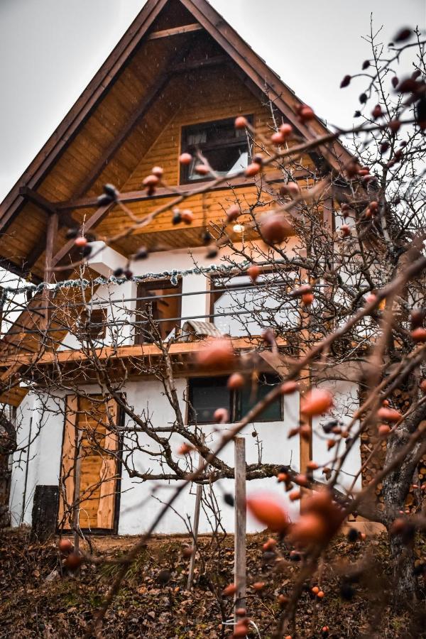 Eged Cottage Eger Luaran gambar